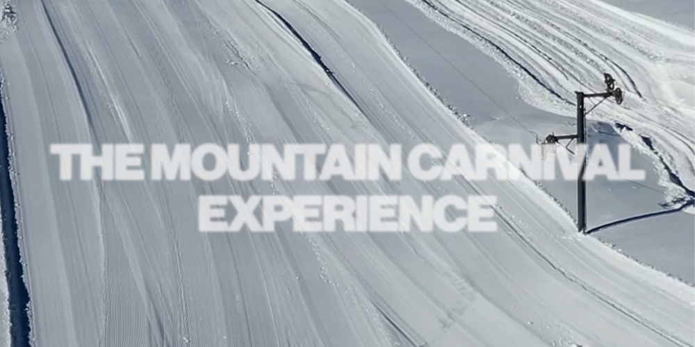 The Mountain carnival experience curated by  88 butterfly - for 303 - vibe