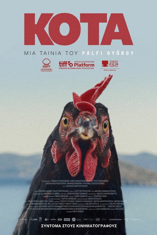 Κότα